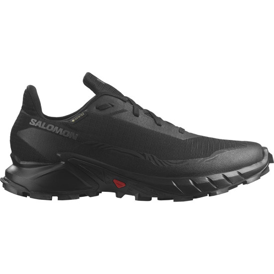 Salomon Alphacross 5 GTX